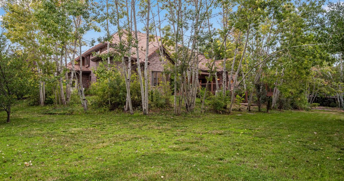 Aspens and Home